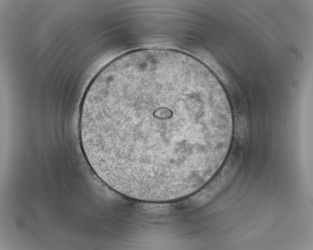 X0000113140856200909181728