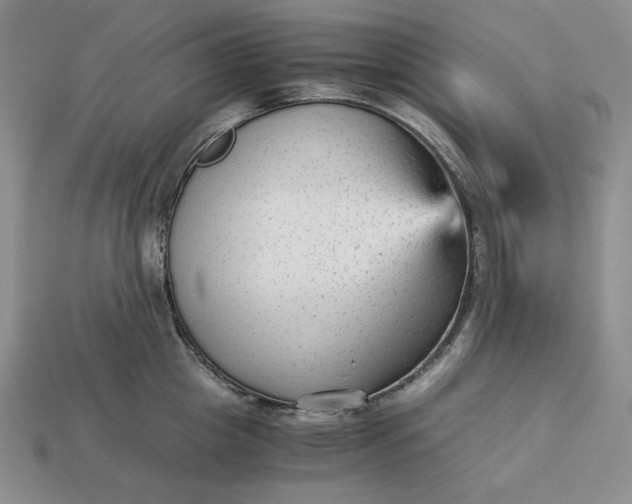 X0000113140857200909181728