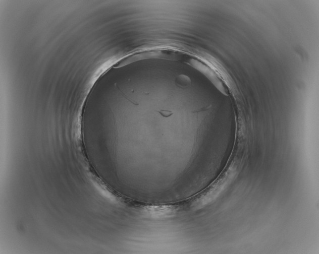 X0000113140858200909181728