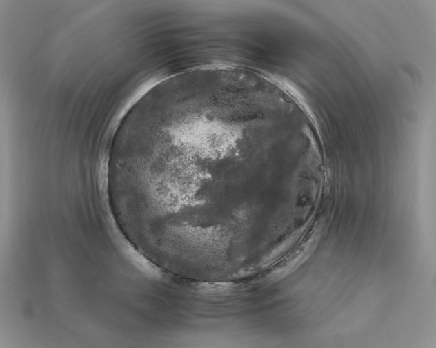 X0000113140859200909181728