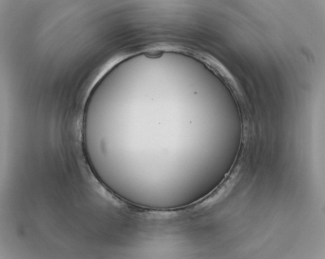 X0000113140860200909181728