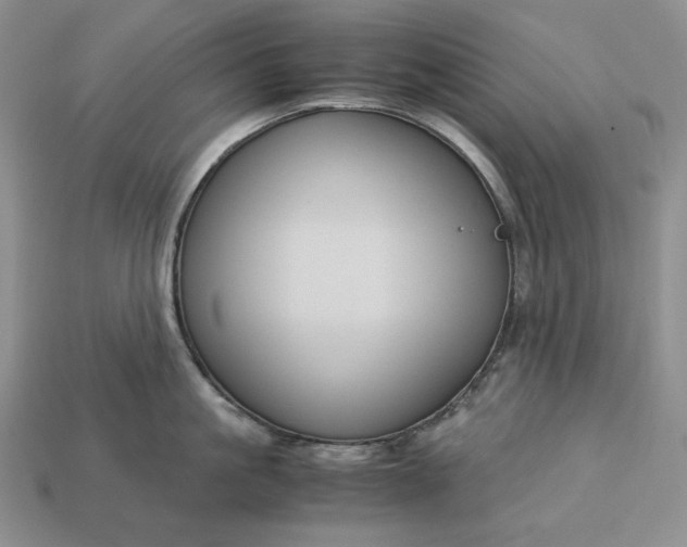 X0000113140861200909181728