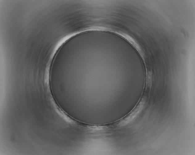 X0000113140862200909181728