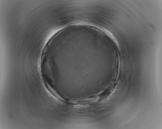 X0000113140863200909181728