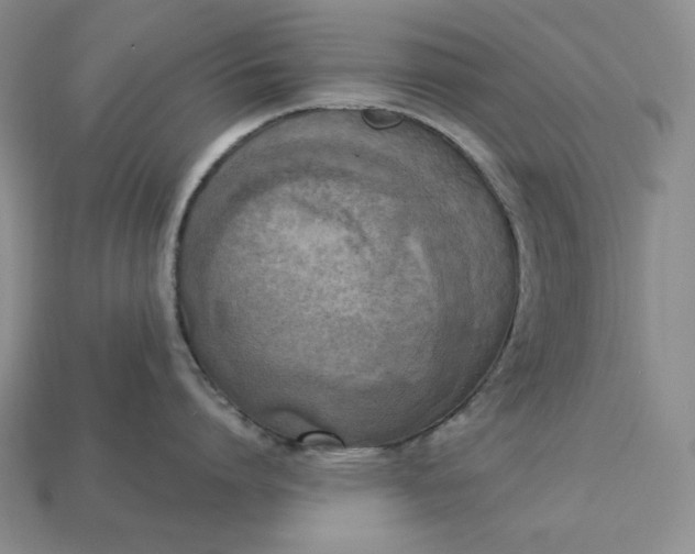 X0000113140864200909181728