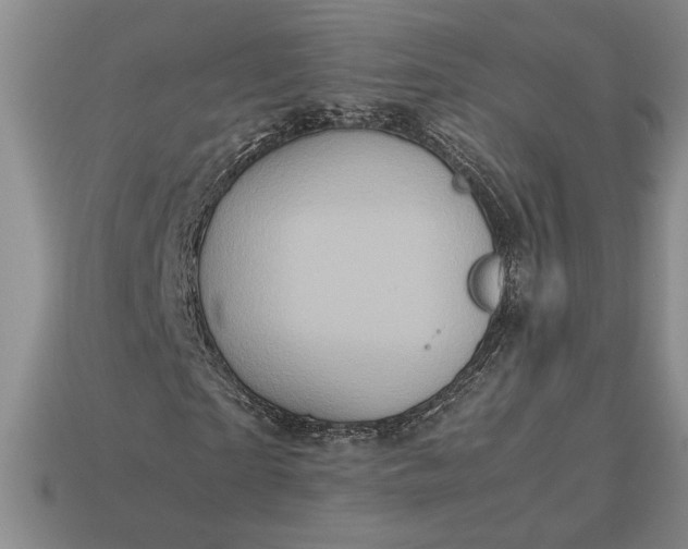 X0000113140865200909181727