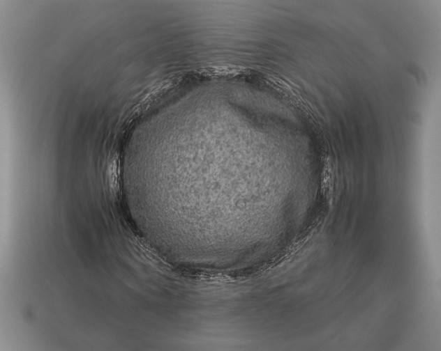 X0000113140866200909181727