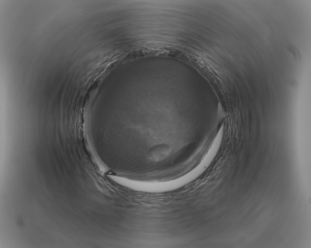 X0000113140868200909181727