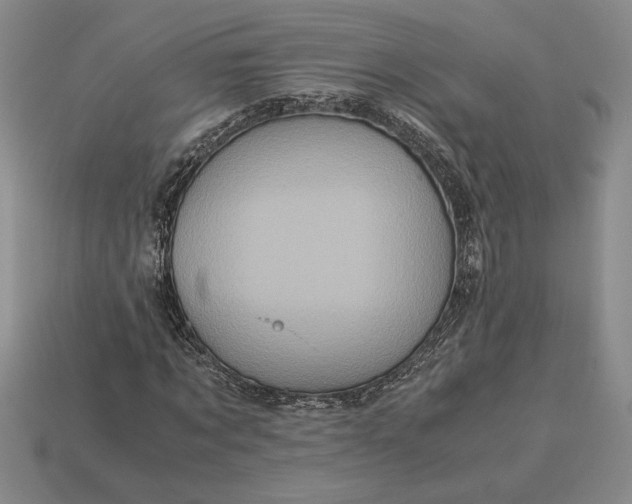 X0000113140869200909181727