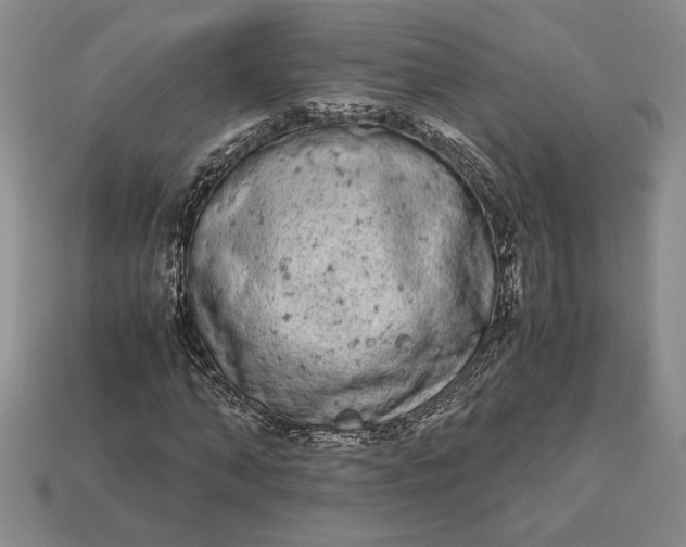 X0000113140870200909181727