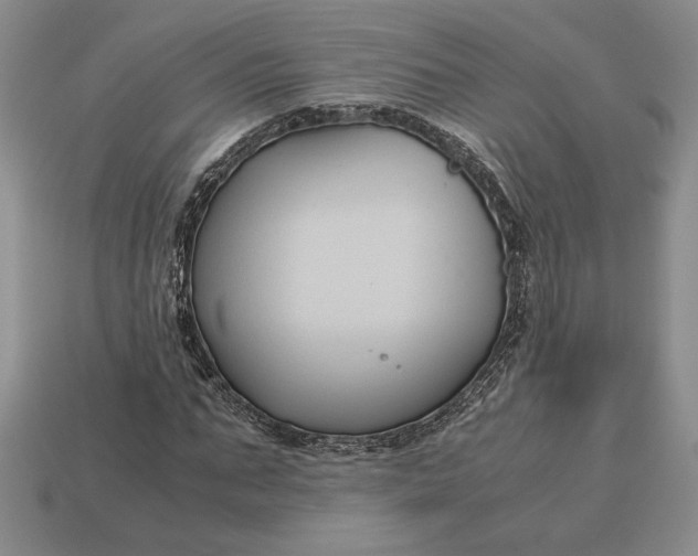 X0000113140871200909181727