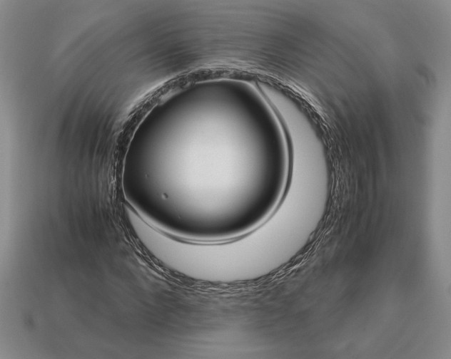 X0000113140872200909181727