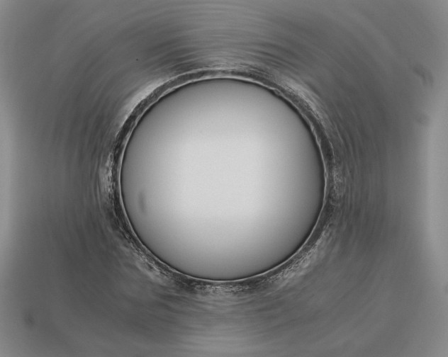 X0000113140875200909181727