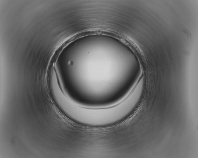 X0000113140876200909181727