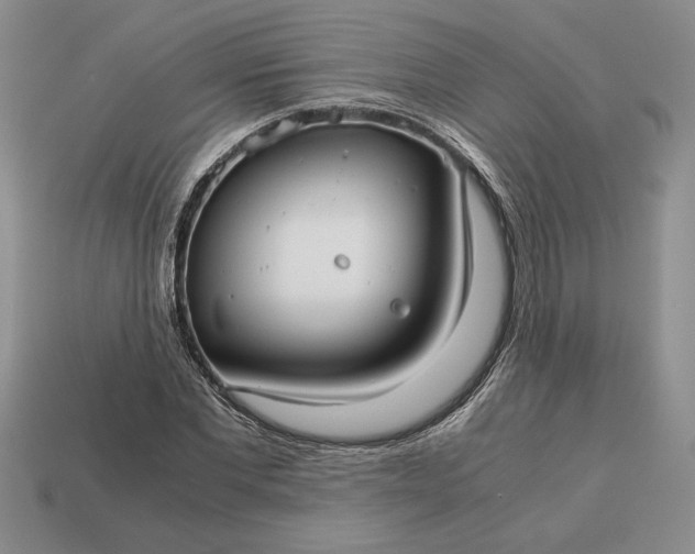 X0000113140877200909181727