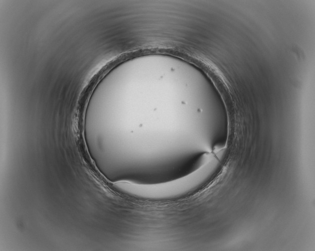 X0000113140878200909181727