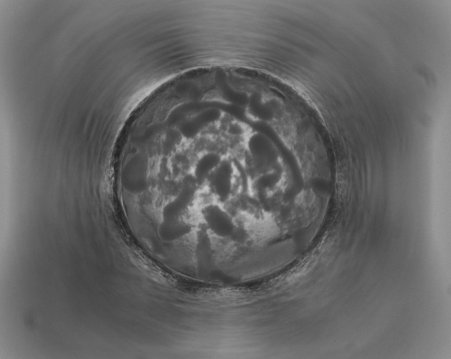 X0000113140879200909181727