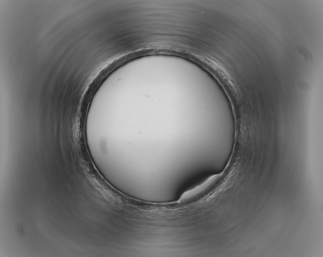 X0000113140880200909181727