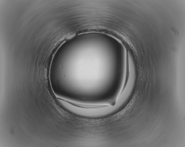 X0000113140881200909181727