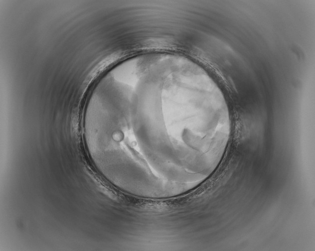 X0000113140882200909181727