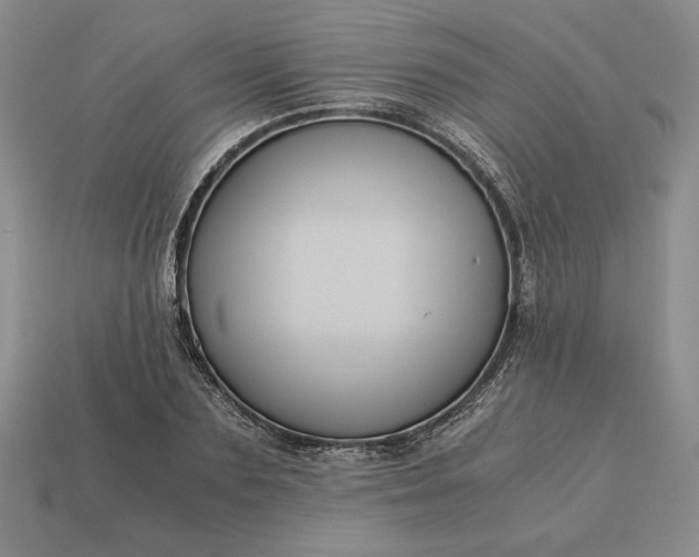 X0000113140883200909181727