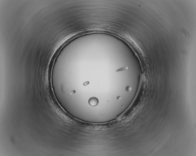 X0000113140884200909181727