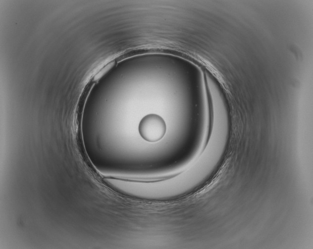 X0000113140885200909181727