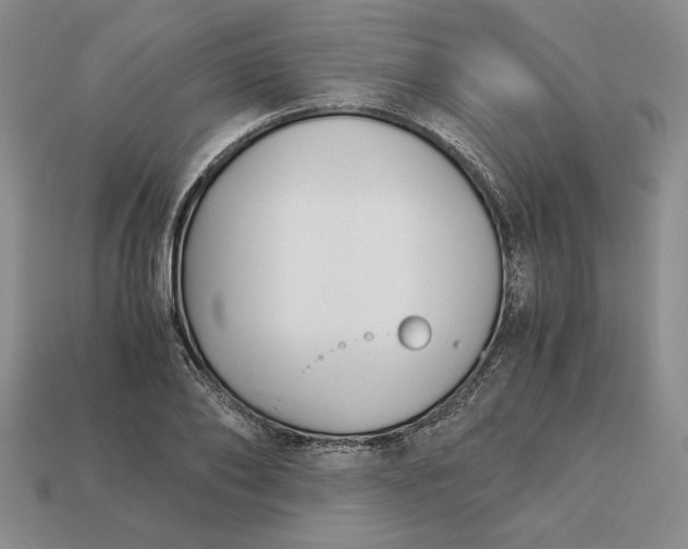 X0000113140886200909181727