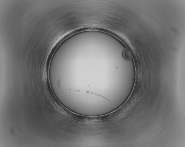 X0000113140887200909181727