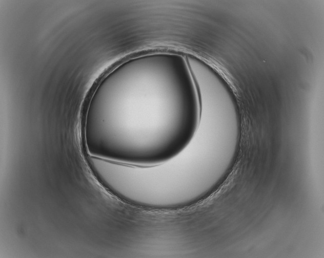 X0000113140888200909181727