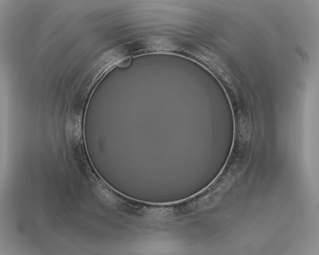 X0000113140889200909181727