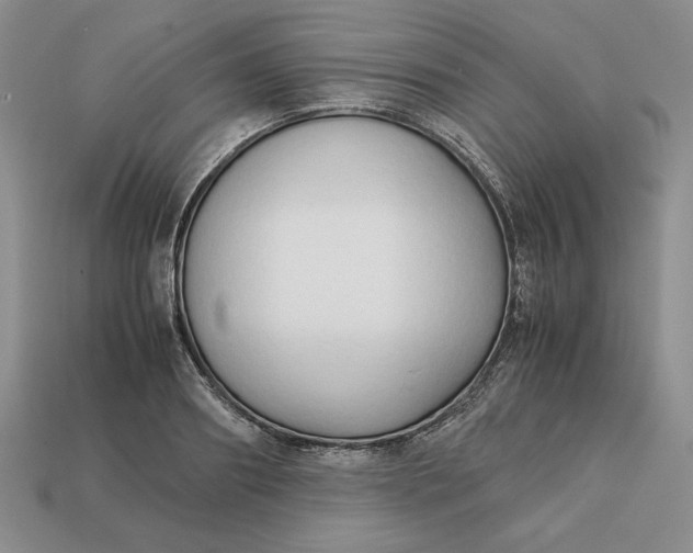 X0000113140890200909181727