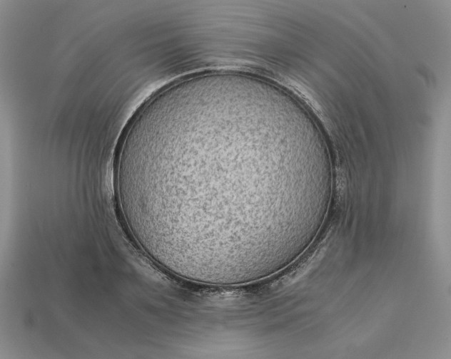 X0000113140891200909181727