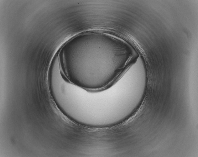 X0000113140892200909181727