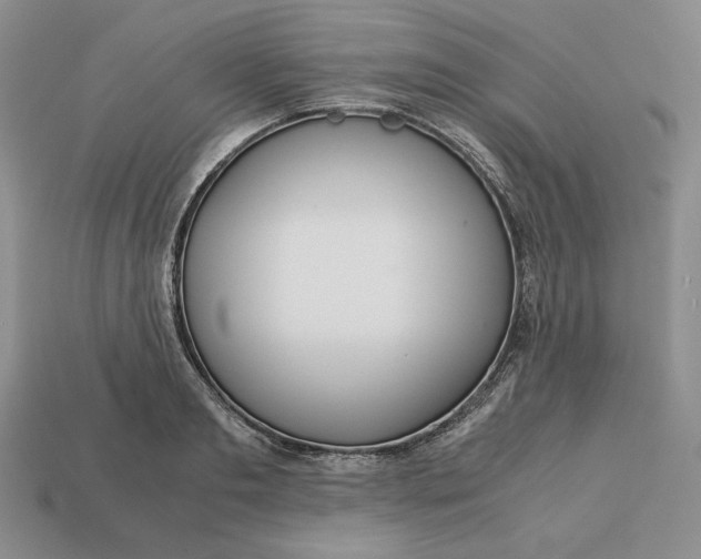 X0000113140893200909181727