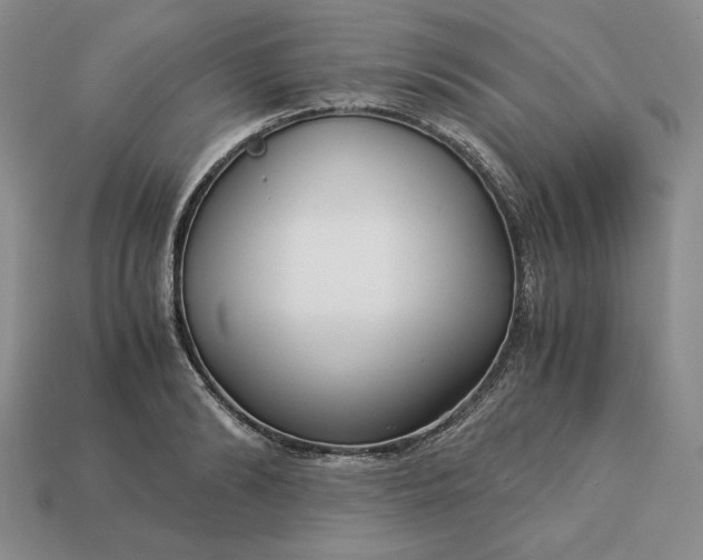 X0000113140894200909181727