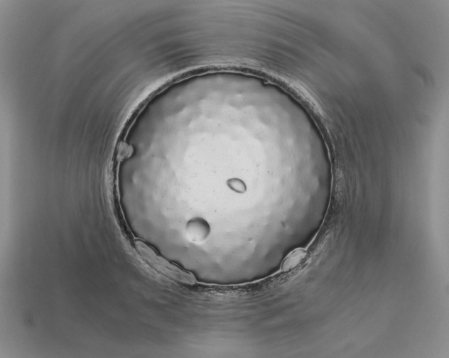 X0000113140895200909181727