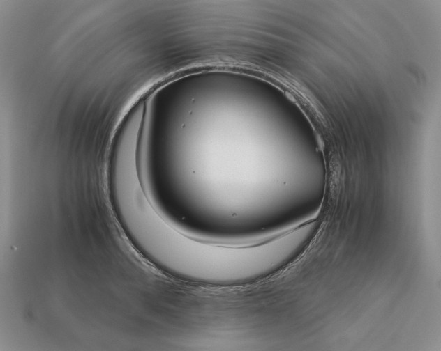 X0000113140896200909181727