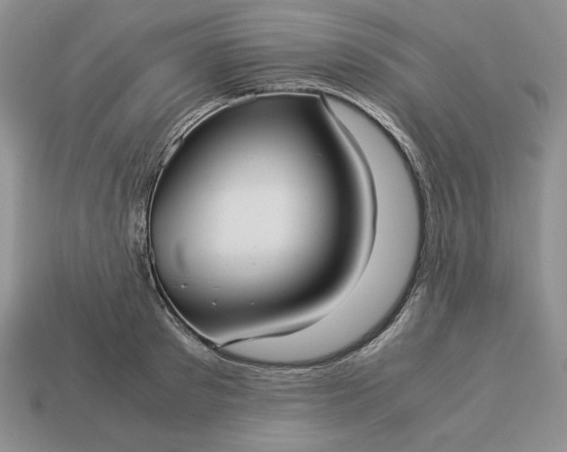 X0000113140897200909181727