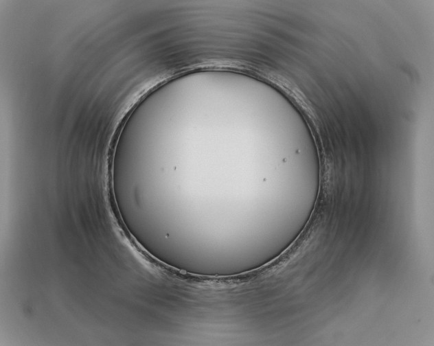 X0000113140898200909181727