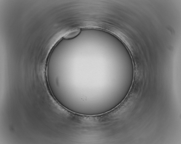 X0000113140901200909181727