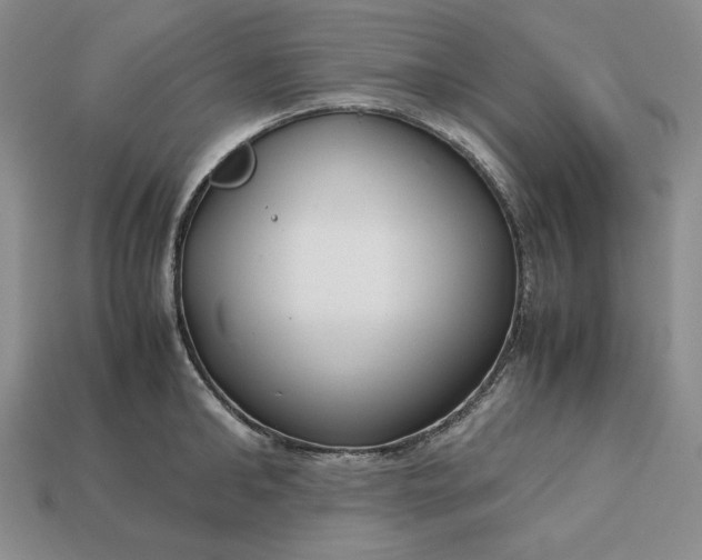 X0000113140902200909181727