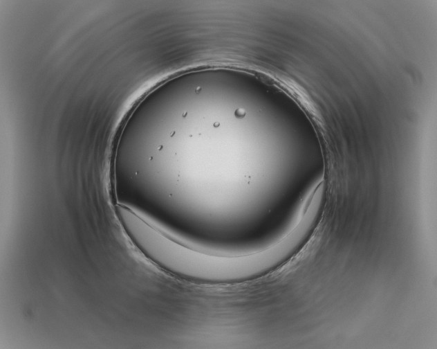 X0000113140904200909181727