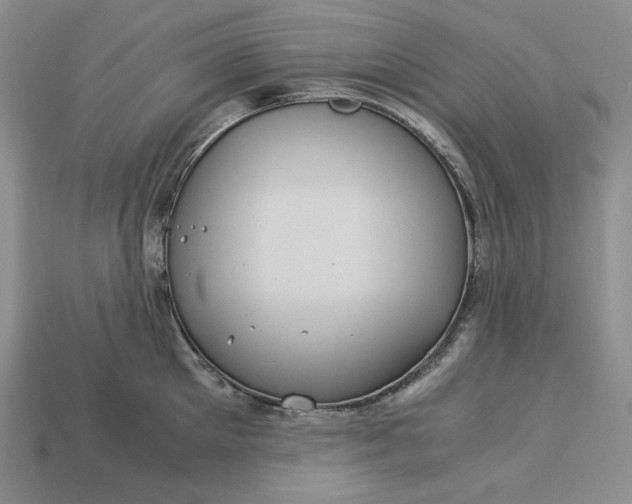 X0000113140905200909181727