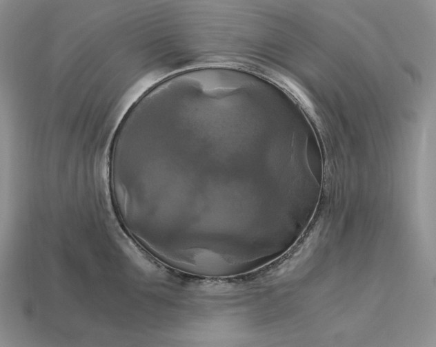 X0000113140907200909181727