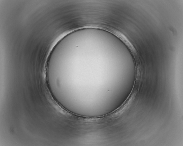 X0000113140908200909181727