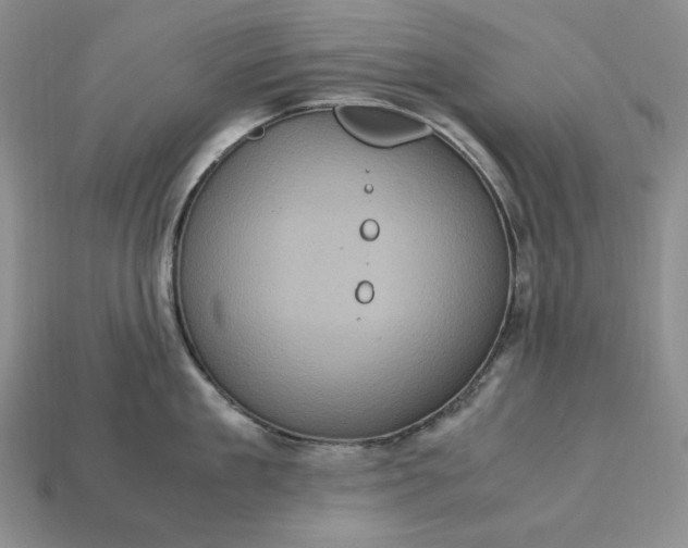 X0000113140909200909181727