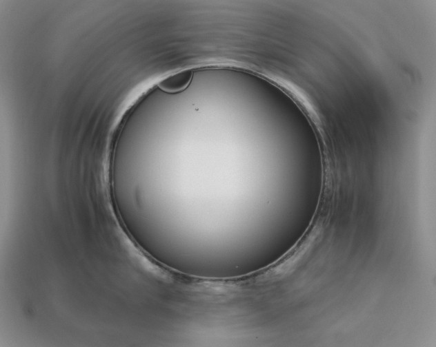 X0000113140910200909181727