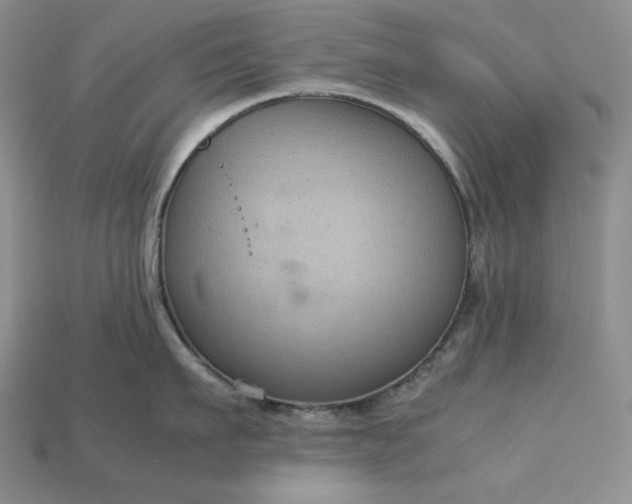 X0000113140911200909181727