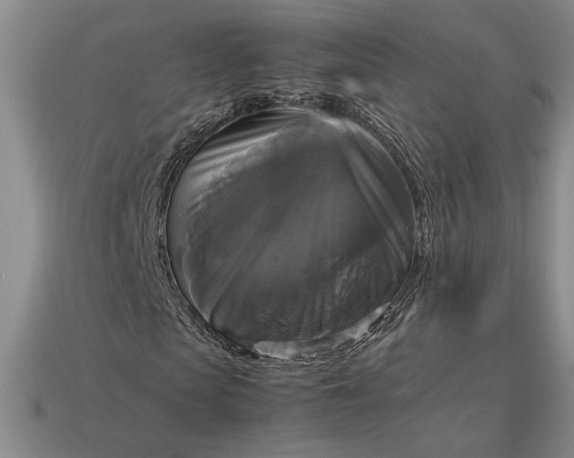 X0000113140913200909181726